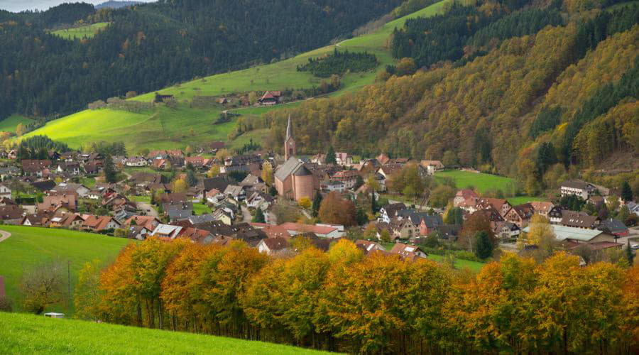 I nostri servizi di noleggio auto offrono una vasta selezione di veicoli a Oberharmersbach.